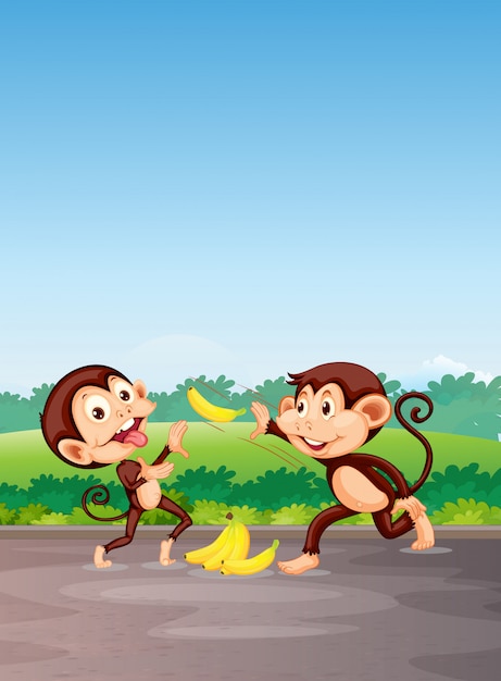 Gra Małpa Z Bananem
