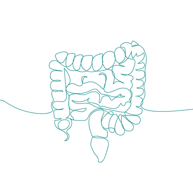Plik wektorowy grafika liniowa jelita