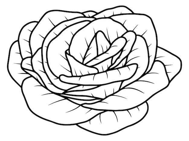 grafika liniowa szkicu kwiatu