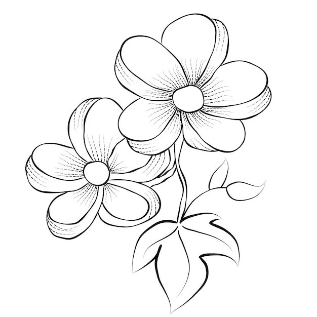 Grafika Liniowa Wektor Swobodny I Rysunek Odręczny Kwiat Sztuka Czarno-biały Płaski Projekt Prosty Kwiat