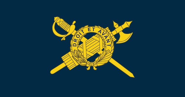 Plik wektorowy grafika wektorowa flaga generalnego inspektora armii stanów zjednoczonych