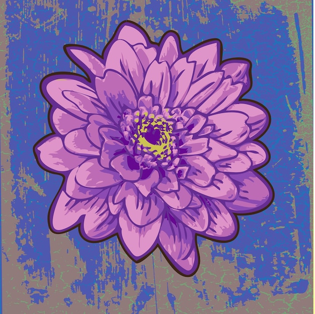 grafika wektorowa kwiatu chryzantemy w stylu pop-art, nowoczesny, grafika, tekstura
