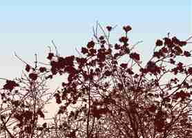 Plik wektorowy grafika wektorowa sylwetki gałęzi drzew owocowych z dojrzałymi jagodami przed porannym niebem