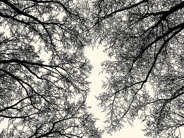 Plik wektorowy grafika wektorowa sylwetki gałęzi drzew w zimowym lesie