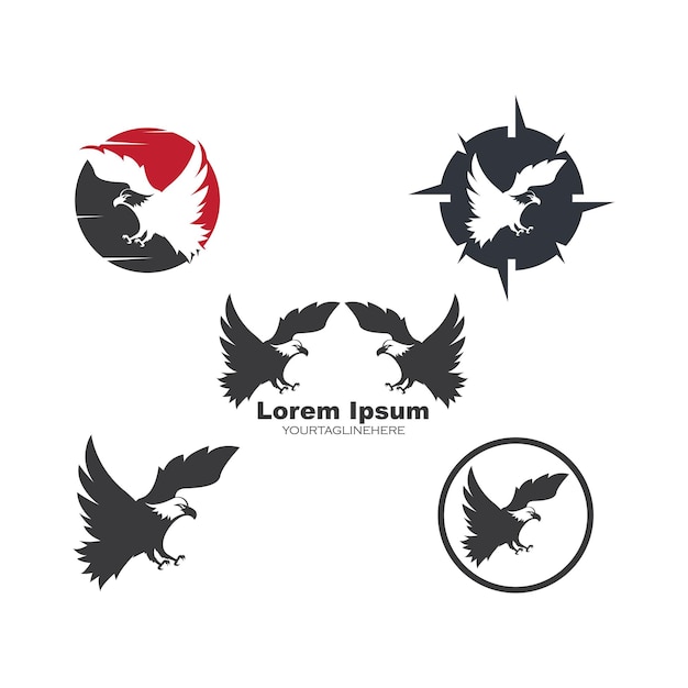 Grafika Wektorowa: Szablon Logo Ptaka Sokoła Orła