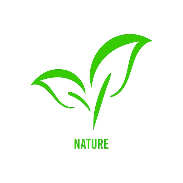 Green Eco Leaves Logo Projekt Szablon Wektor Naturalne Kosmetyki Organiczne Spa Medycyna Ikona Koncepcja Logo