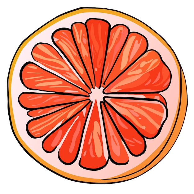 Plik wektorowy grejpfrut ręcznie rysowane kreskówka naklejka ikona koncepcja na białym tle ilustracja