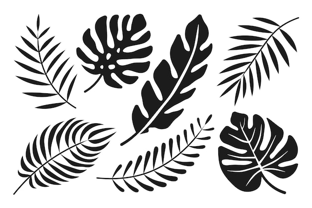 Plik wektorowy grupa czarno-białych rysunków drzew palmowych