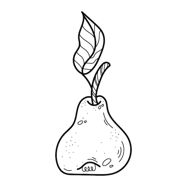 Plik wektorowy gruszka z gałązką i liść na białym tle. cała gruszka ręcznie rysowane w stylu doodle ilustracji wektorowych.