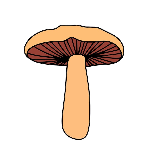 Grzyb izolowany na białym tle Grzyb w stylu doodle Ilustracja wektorowa