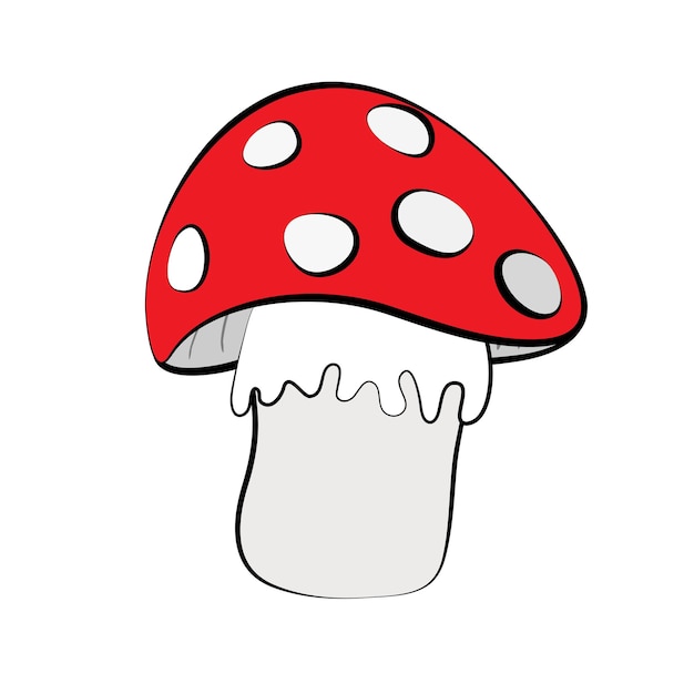 Grzyb izolowany na białym tle