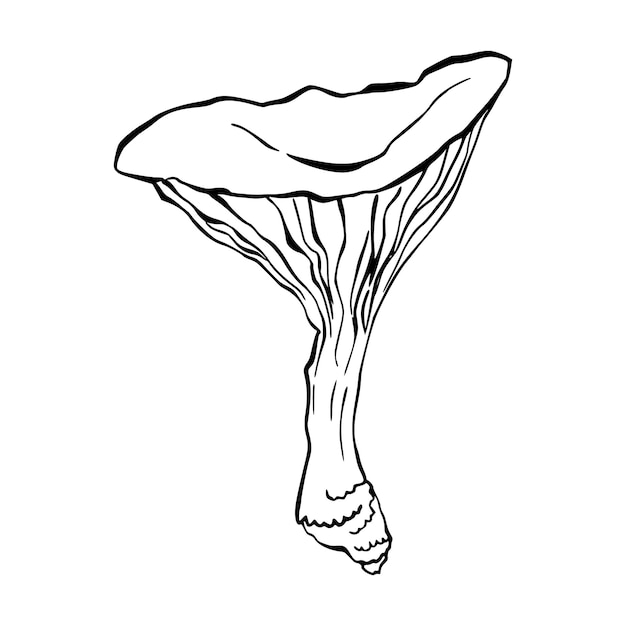 Plik wektorowy grzyb w stylu szkicowania atramentem izolowany ręcznie narysowany przedmiot spożywczy