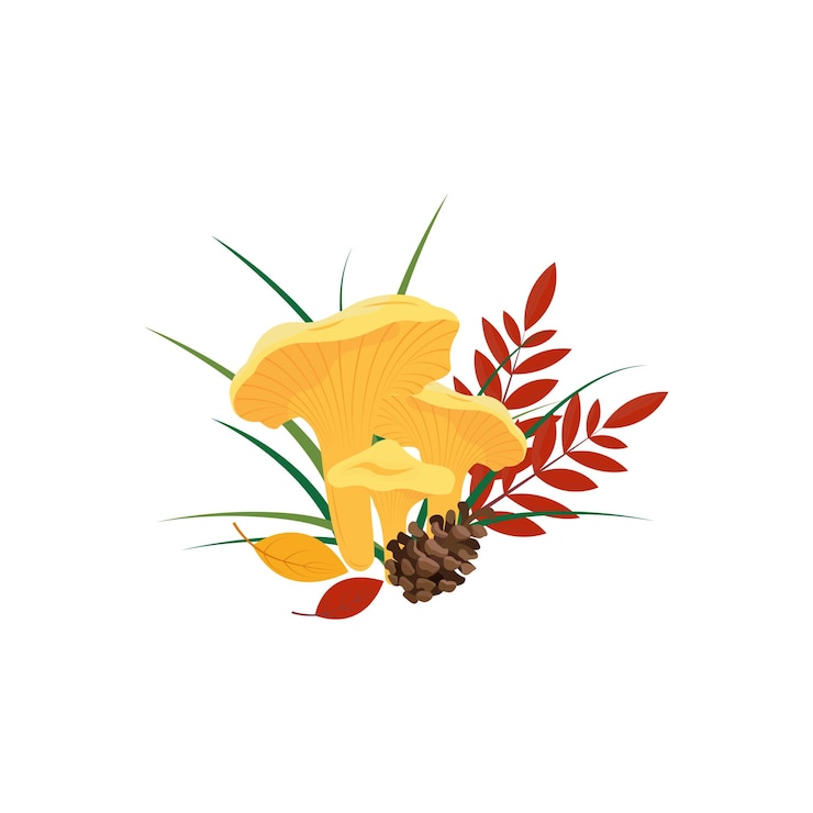 Wektor grzyby jadalne jesienna ilustracja