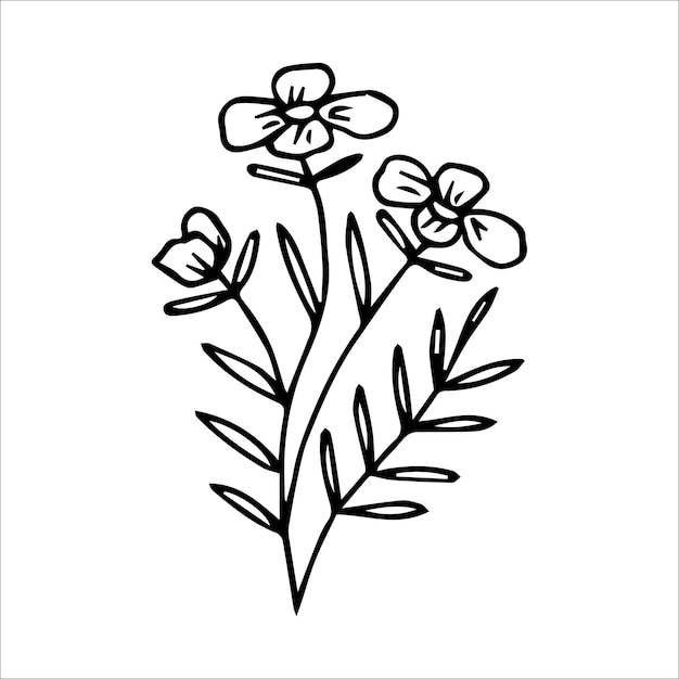 Handdrawn Doodle Element Roślinny Do Koncepcji Projektu Kwiatowego