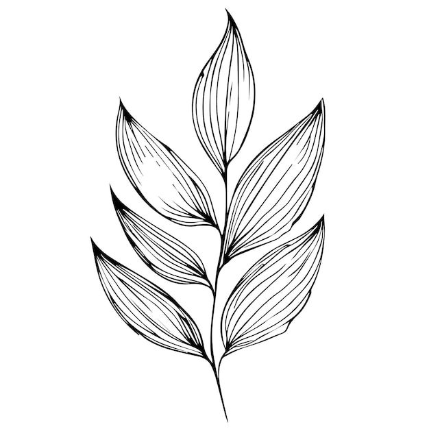 Plik wektorowy handdrawn ilustracja naturalny liść kolekcja szkic ołówkiem kolorowanka