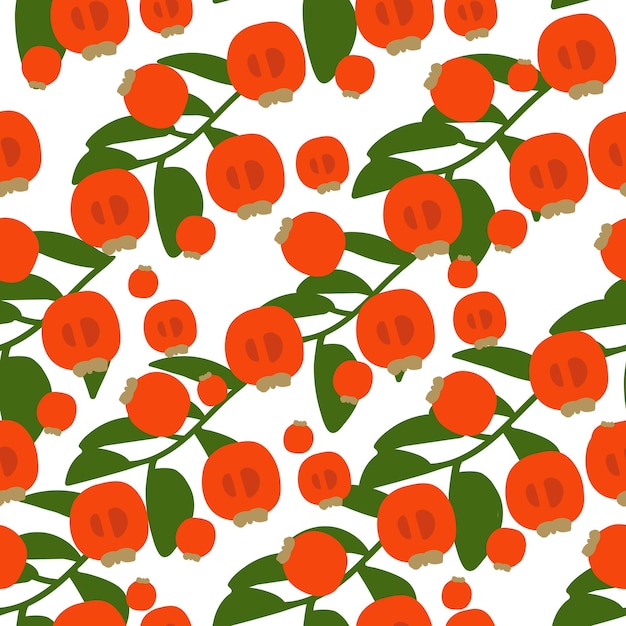 Handdrawn wzór dojrzałej soczystej persimmon