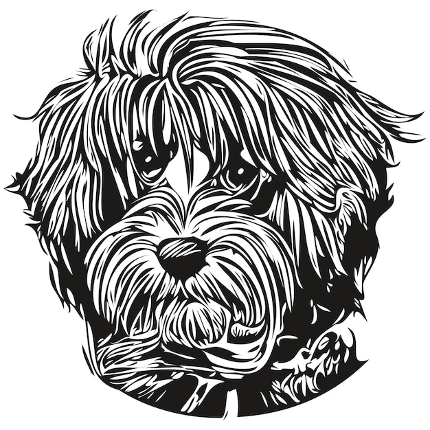 Hawańczyk Pies Ręcznie Rysowane Ilustracja Czarno-białe Wektor Zwierzęta Logo Grafika Liniowa