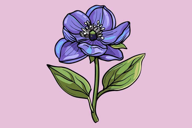 Hellebore