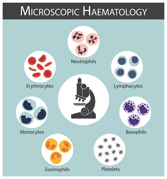 Hematologia Mikroskopowa