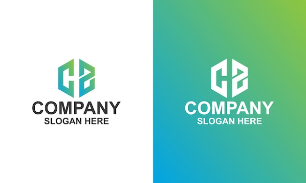 Hexagon Corporate Logo Premium