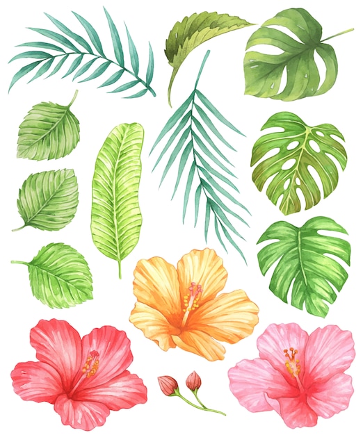 Hibiskus i tropikalne liście akwarela