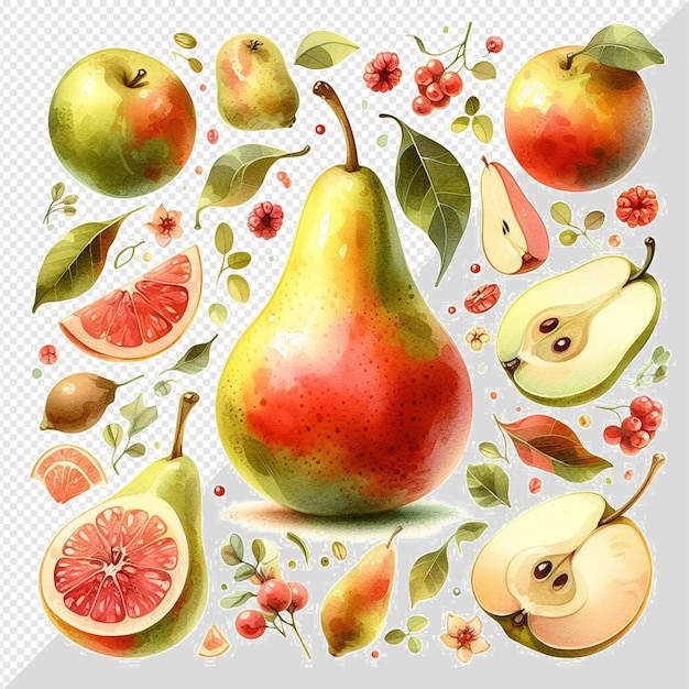 Hiperrealistyczny Wzór Tekstura Akwarela Naturalne świeże Zdrowe Owoce Gruszki Przezroczyste Tło