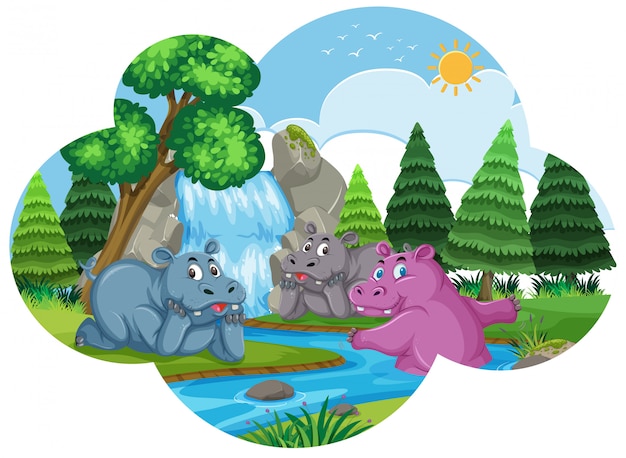 Hipopotamy W Wodzie Sceny