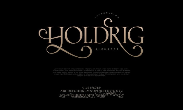 Holdrig Premium Luksusowe Eleganckie Litery Alfabetu I Cyfry Elegancka Typografia ślubna Klasyczna Szeryfowa