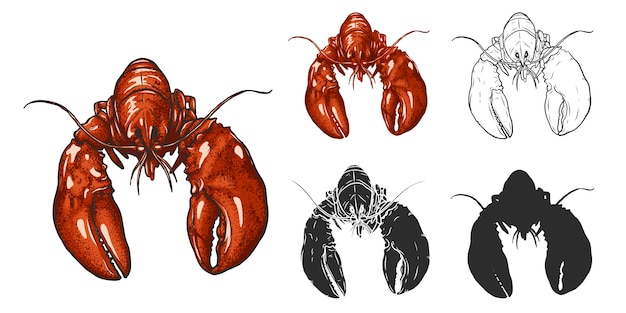 Plik wektorowy homar, rysunek odręczny.