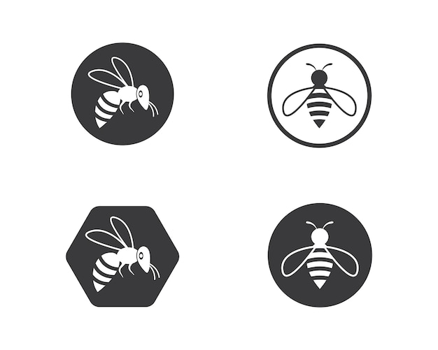 Honey Bee Logo Szablon Wektor Ikona Ilustracja