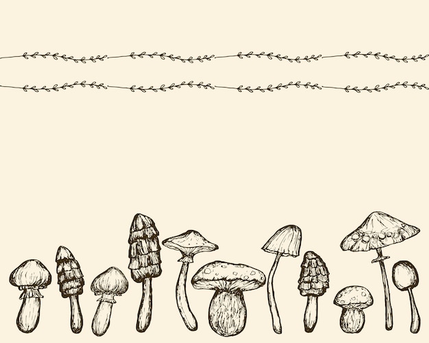 Horyzontalna Linia Grzybów Z Delikatną Krawędzią Ręcznie Narysowany Szkic Grzybów Leśnych
