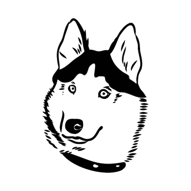 Husky na białym tle wzornik sylwetka psa
