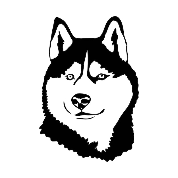 Husky na białym tle wzornik sylwetka psa