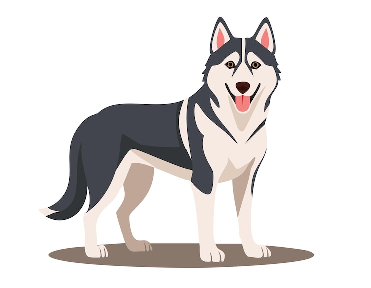 Wektor husky syberyjski
