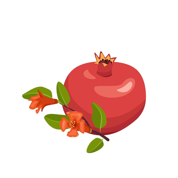 Ikona całego i pół czerwonego granatu z nasionami i gałęzi z liśćmi. Zdrowe owoce dla prawidłowego odżywiania. Słodkie jedzenie dla diety. Płaskie ilustracji wektorowych