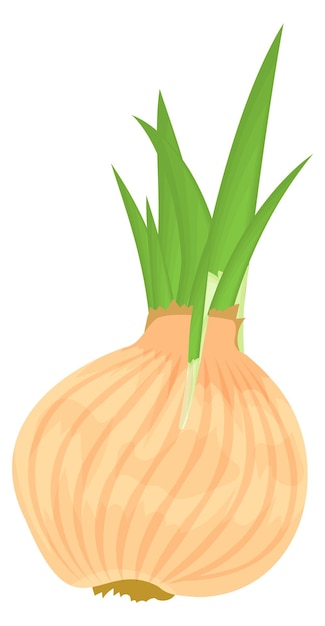Plik wektorowy ikona cebuli kreskówka świeże warzywa zdrowy składnik do gotowania