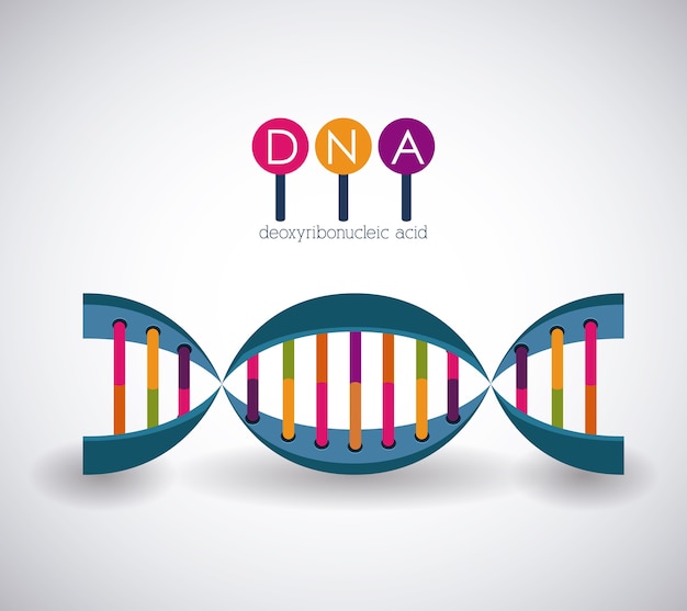 Ikona chromosomu struktury DNA