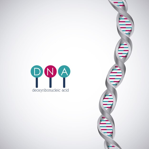 Plik wektorowy ikona chromosomu struktury dna