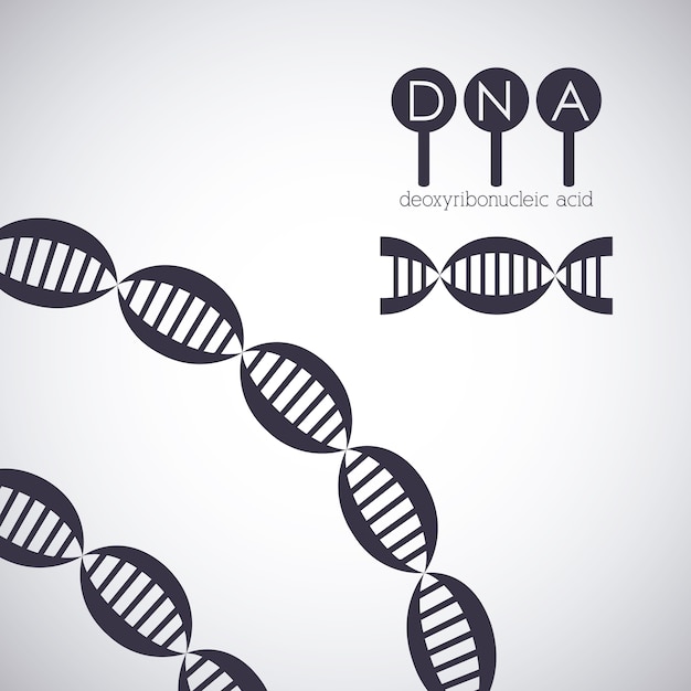 Ikona Chromosomu Struktury Dna