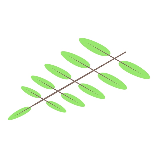 Plik wektorowy ikona gałęzi drzewa oliwnego izometryczna ikona wektora gałęzi drzewa oliwnego do projektowania stron internetowych izolowana na białym tle