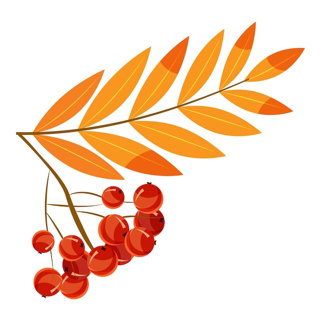 Plik wektorowy ikona gałęzi jarzębiny ilustracja kreskówka przedstawiającą ikonę wektora gałęzi jarzębiny dla sieci web