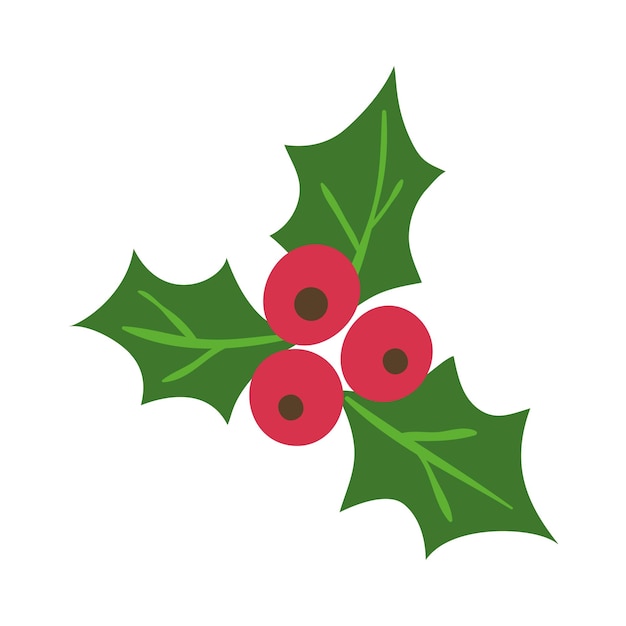 Ikona jagody Holly liście i jagody mistletoe Symbol ilustracji Bożego Narodzenia