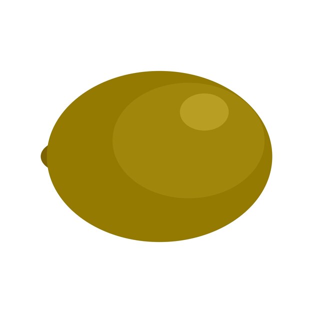 Ikona kiwi Płaska ilustracja ikony wektora kiwi dla sieci web izolowana na białym