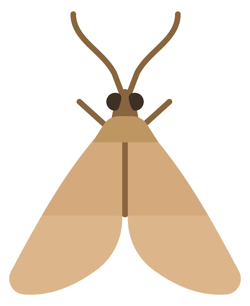 Plik wektorowy ikona koloru ćmy latający owad symbol przyrody