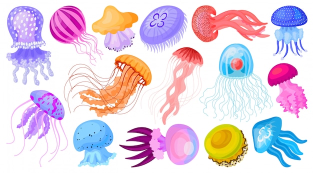 Plik wektorowy ikona kreskówka meduzy. kreskówka na białym tle zestaw ikona meduzy.