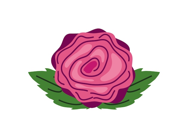 Ikona Kwiatowa Róża Izolowana Konstrukcja