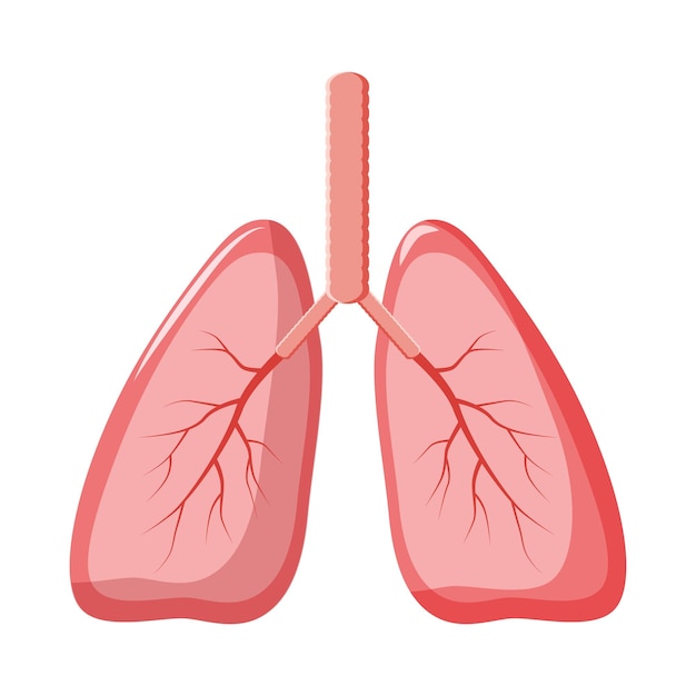 Ikona Ludzkich Płuc W Stylu Kreskówki Na Białym Tle