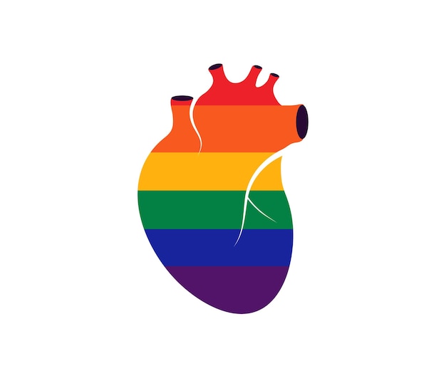 Ikona Ludzkiego Realistycznego Serca Z Symbolicznym Sercem Lgbt Anatomyc Z Flagami Lgbt Homoseksualnymi Kolorami