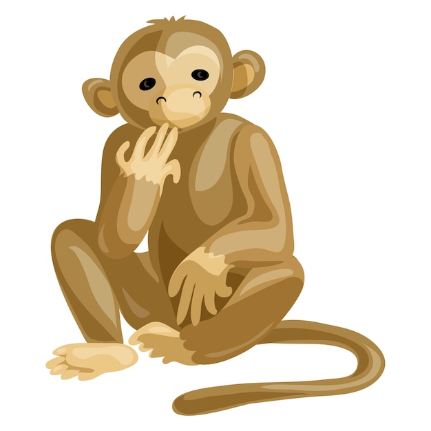 Ikona Małpy Kreskówka Ikona Wektora Małpy Do Projektowania Stron Internetowych Izolowana Na Białym Tle