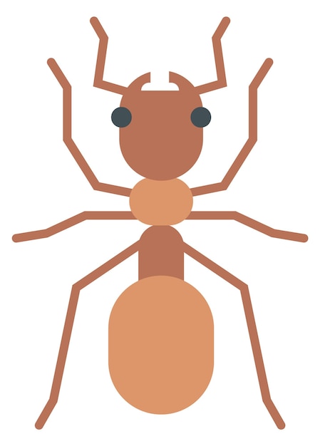 Ikona Mrówka Dzikie Małe Owady Naturalna Fauna